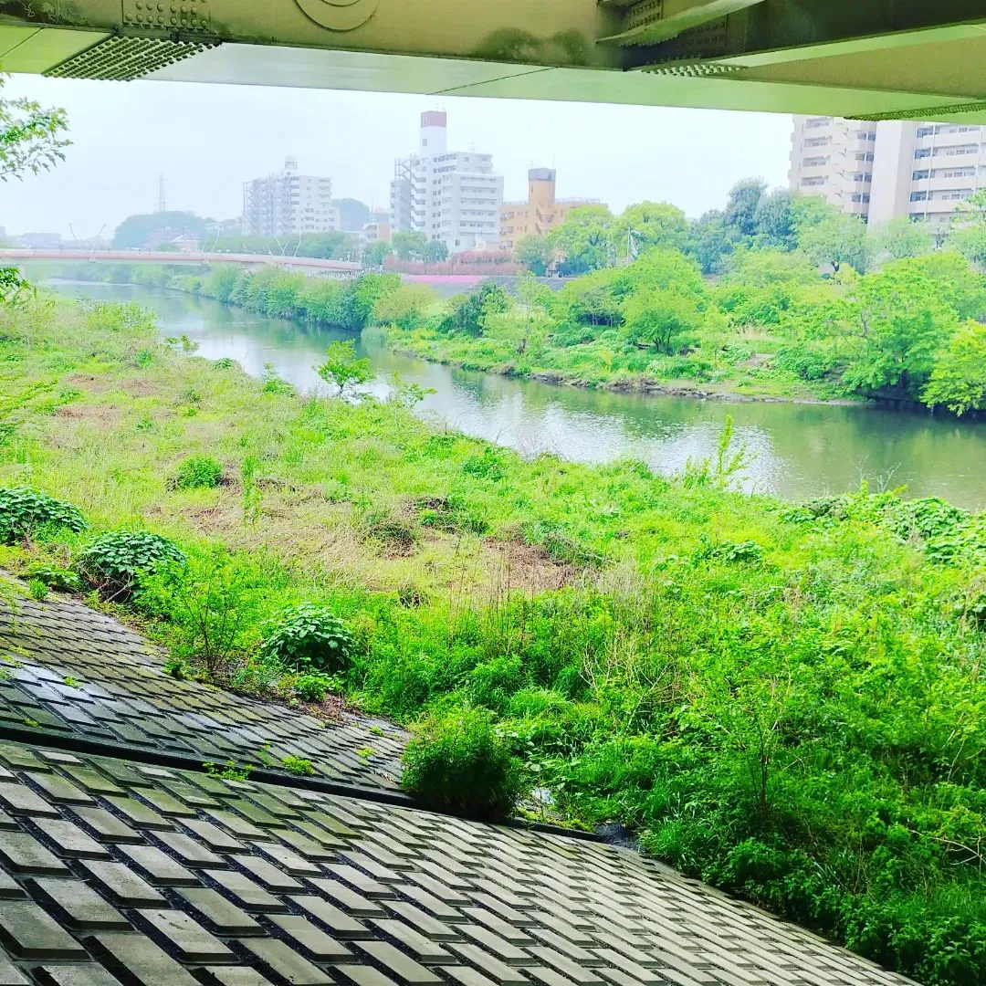 雨ですね。