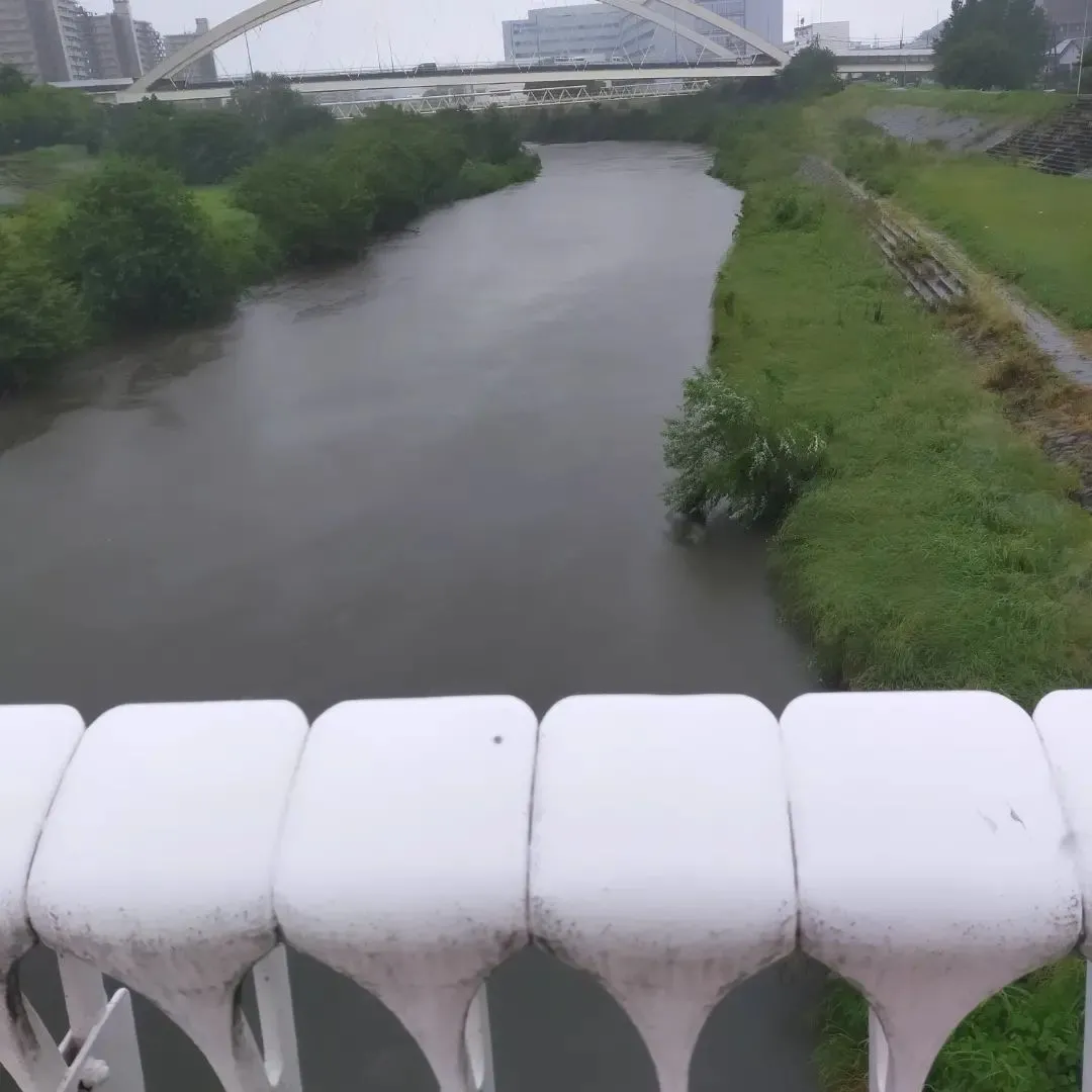 横浜線乗る方は運行情報確認してみてください！